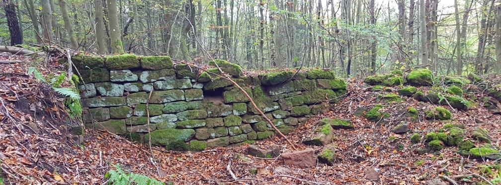 Über die Wüstung Stüterhof zum Saupferch