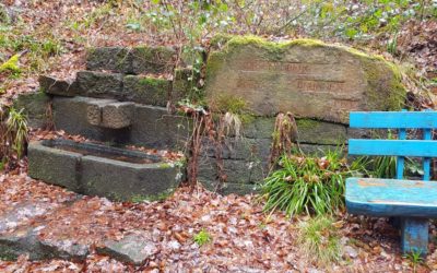 vom Werderberg zum Hüttenbrunnen